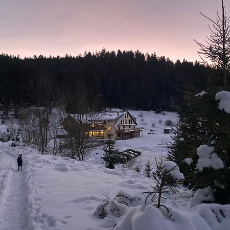 Le Perchoir Du Grand Valtin - Gite 5 Personnes - Altitude 830 Ban-sur-Meurthe-Clefcy Eksteriør billede