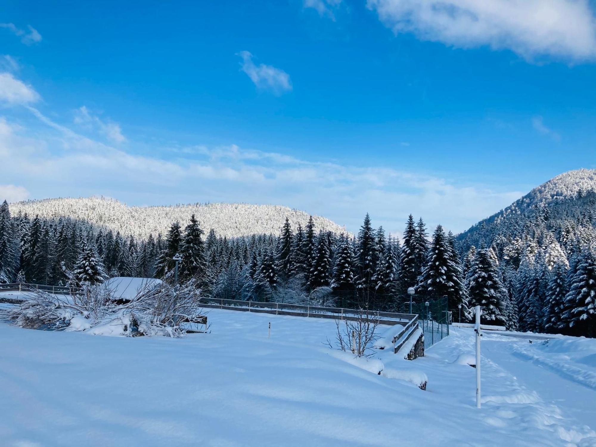 Le Perchoir Du Grand Valtin - Gite 5 Personnes - Altitude 830 Ban-sur-Meurthe-Clefcy Eksteriør billede