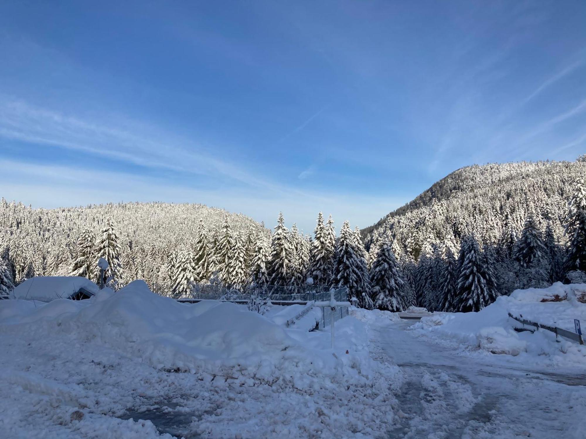 Le Perchoir Du Grand Valtin - Gite 5 Personnes - Altitude 830 Ban-sur-Meurthe-Clefcy Eksteriør billede