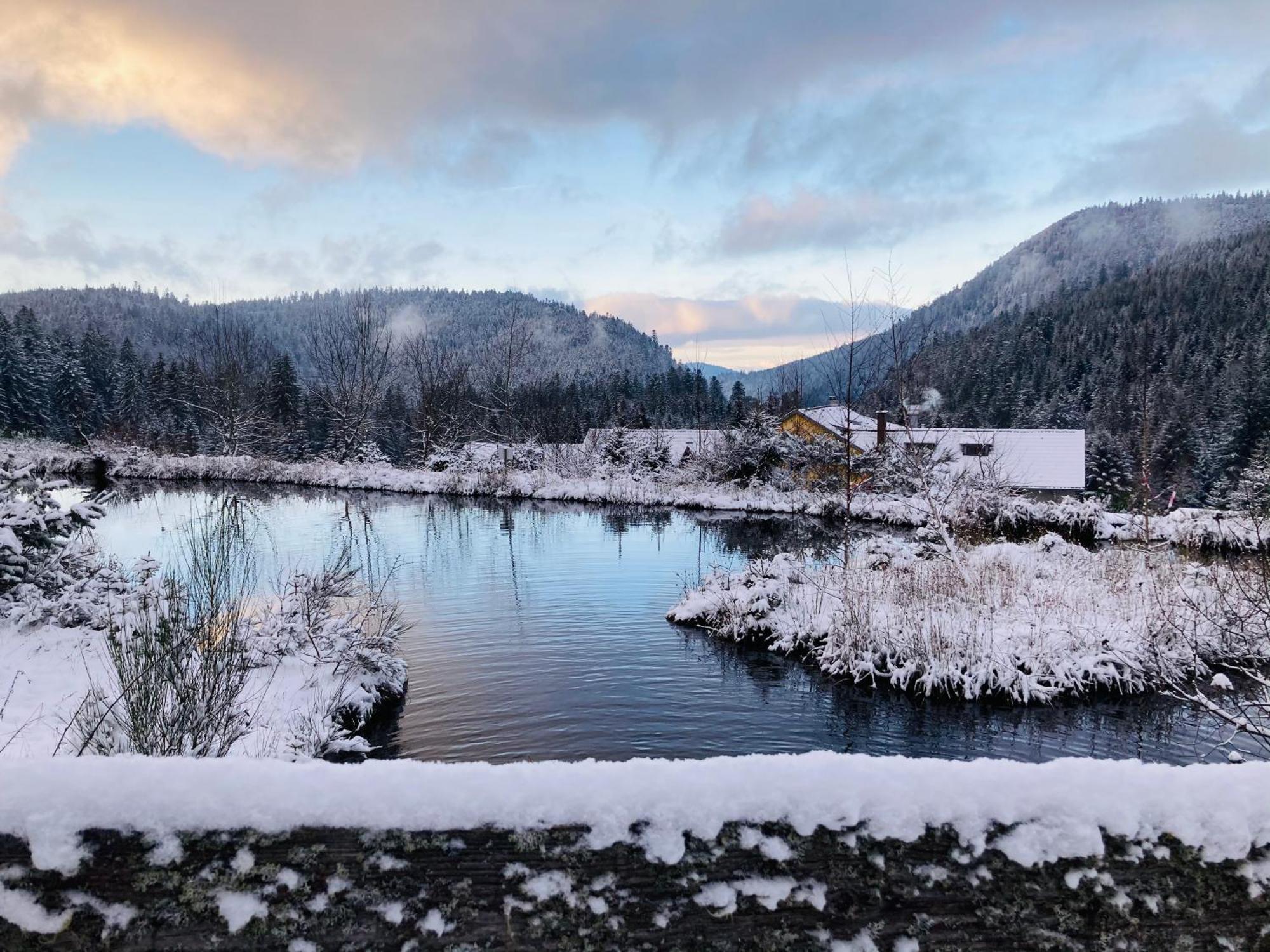 Le Perchoir Du Grand Valtin - Gite 5 Personnes - Altitude 830 Ban-sur-Meurthe-Clefcy Eksteriør billede