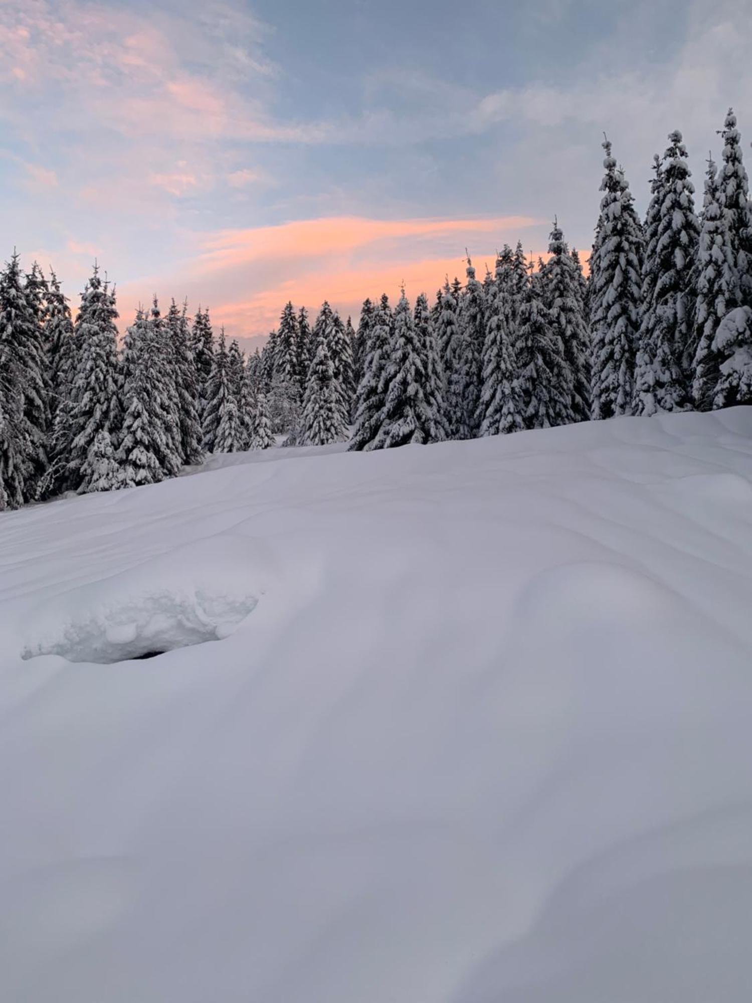 Le Perchoir Du Grand Valtin - Gite 5 Personnes - Altitude 830 Ban-sur-Meurthe-Clefcy Eksteriør billede