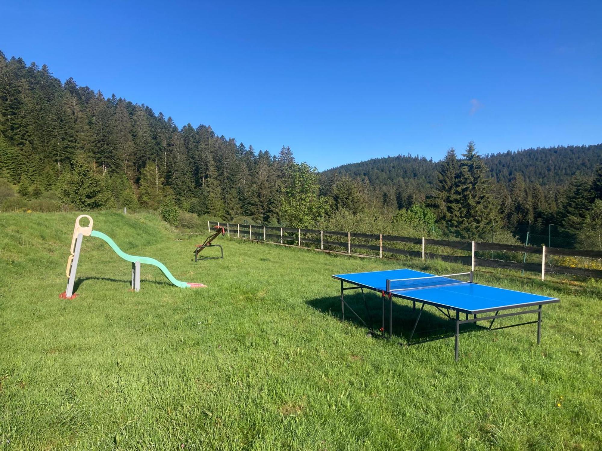 Le Perchoir Du Grand Valtin - Gite 5 Personnes - Altitude 830 Ban-sur-Meurthe-Clefcy Eksteriør billede