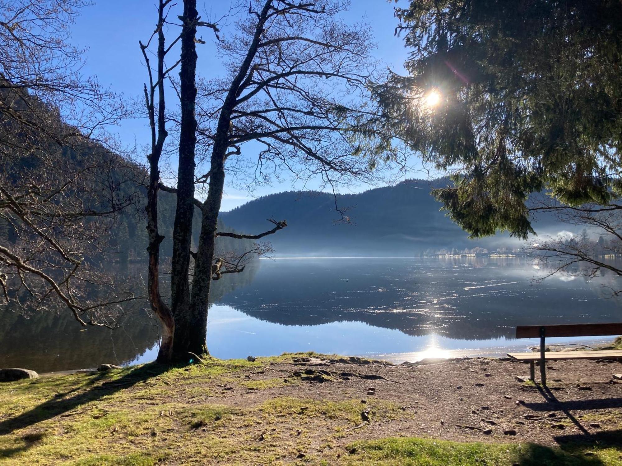 Le Perchoir Du Grand Valtin - Gite 5 Personnes - Altitude 830 Ban-sur-Meurthe-Clefcy Eksteriør billede