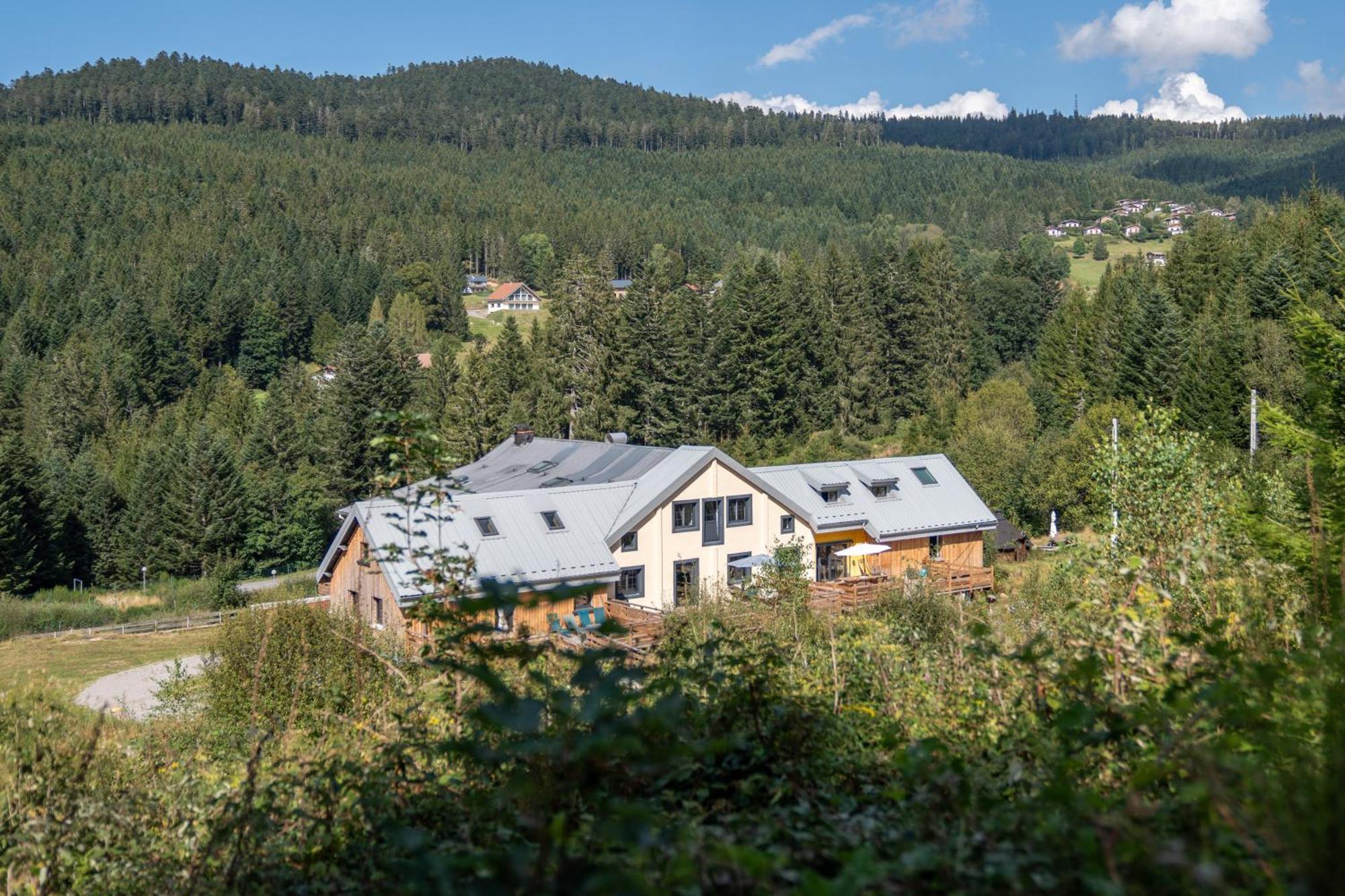 Le Perchoir Du Grand Valtin - Gite 5 Personnes - Altitude 830 Ban-sur-Meurthe-Clefcy Eksteriør billede