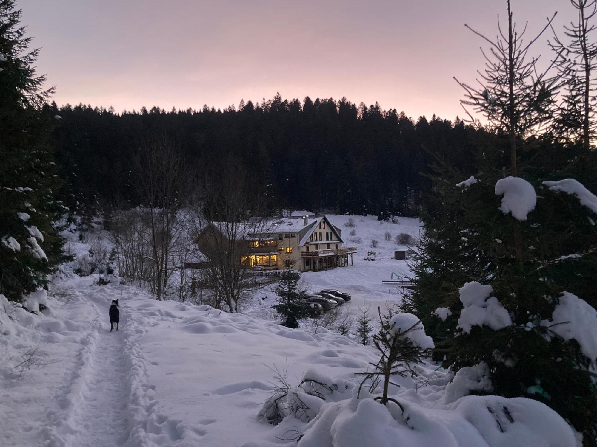 Le Perchoir Du Grand Valtin - Gite 5 Personnes - Altitude 830 Ban-sur-Meurthe-Clefcy Eksteriør billede